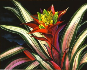 NIGHT bromeliad-11X13WEB